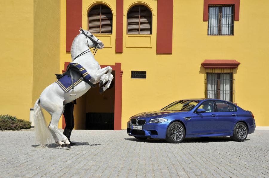  BMW M5 2011 года  (фото 72 из 344)